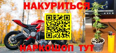 ешки Ставрополь