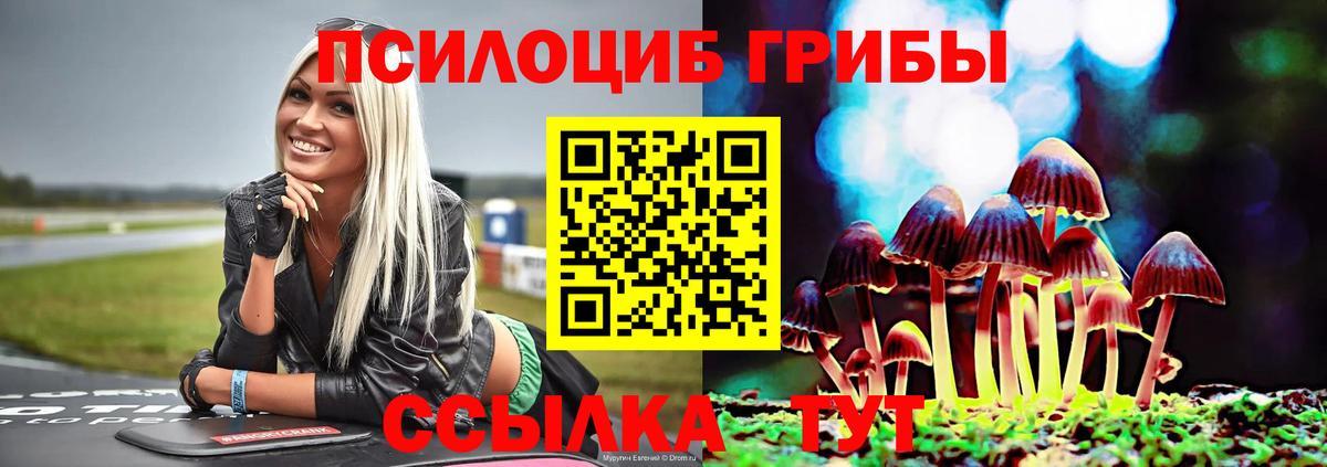 цена   Галлюциногенные грибы GOLDEN TEACHER  Вход с VPN  Сатка  Галлюциногенные грибы Psilocybine cubensis 